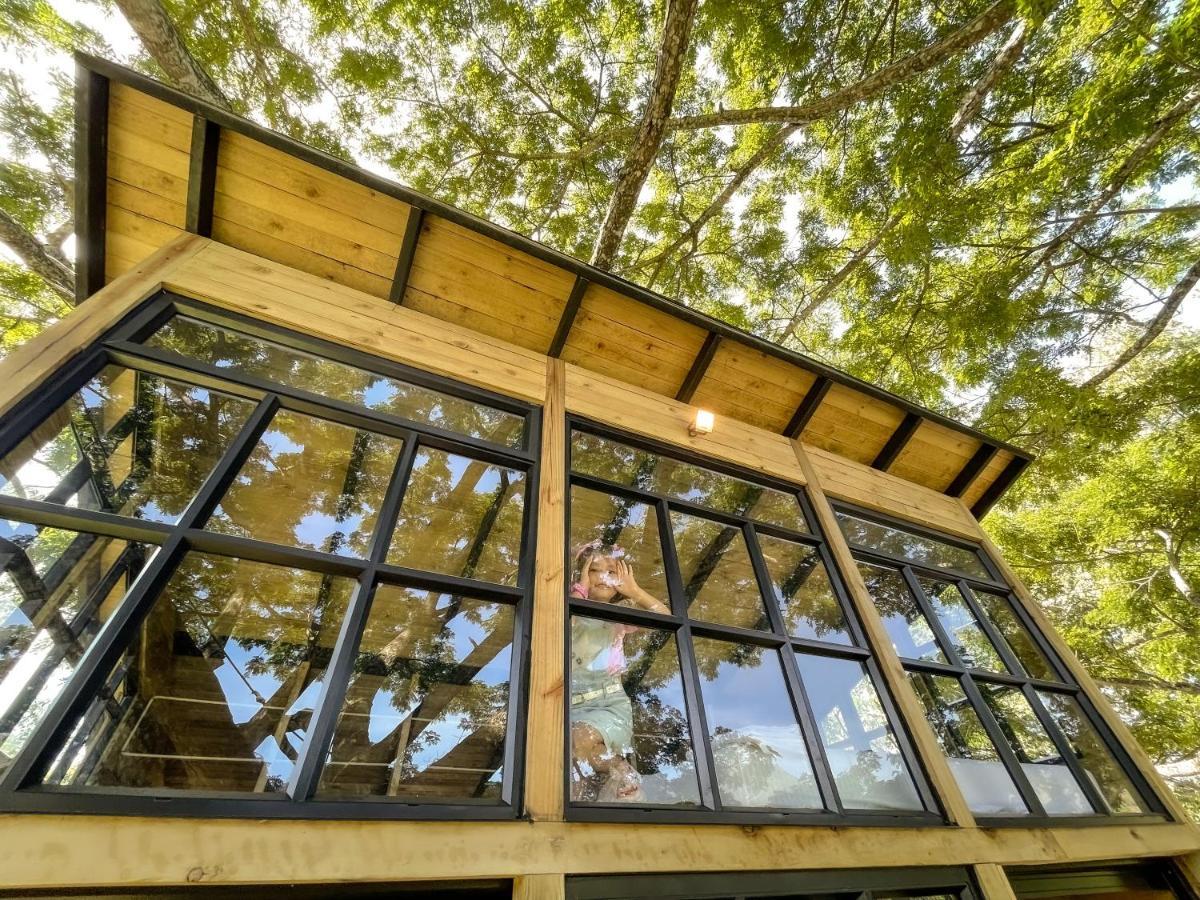 Villa Casa En El Arbol Utica Esterno foto