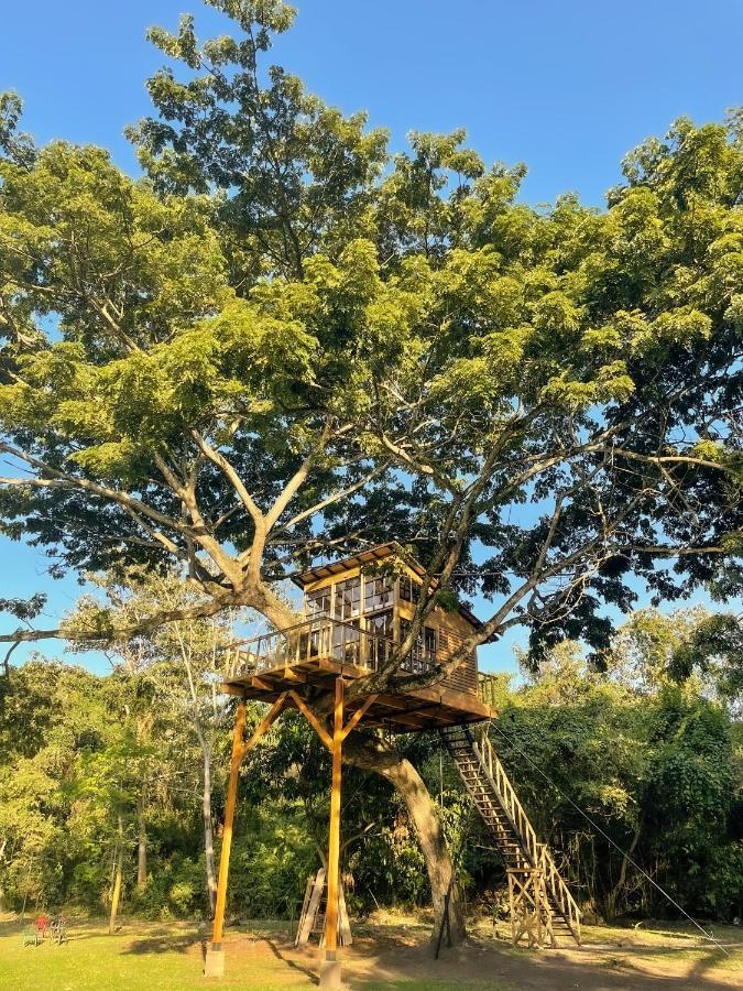 Villa Casa En El Arbol Utica Esterno foto