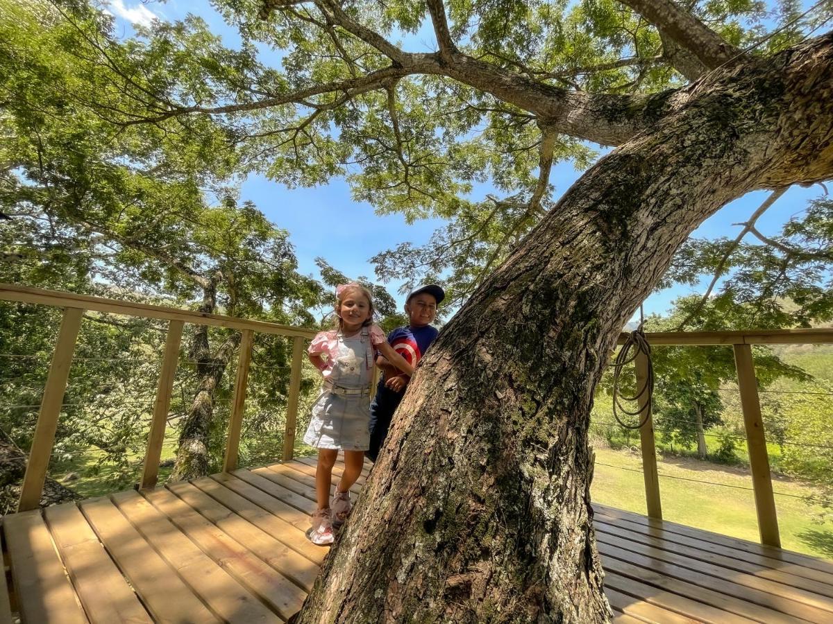 Villa Casa En El Arbol Utica Esterno foto
