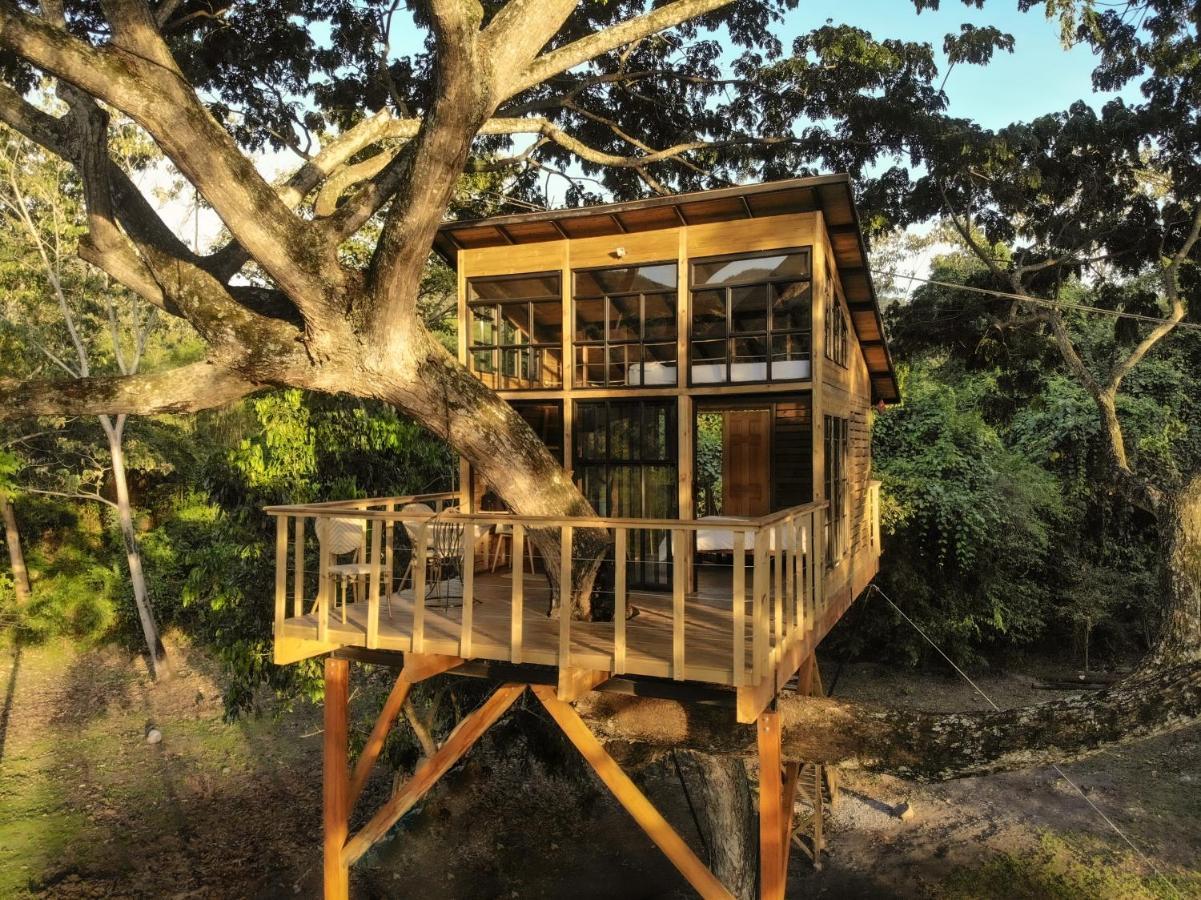 Villa Casa En El Arbol Utica Esterno foto