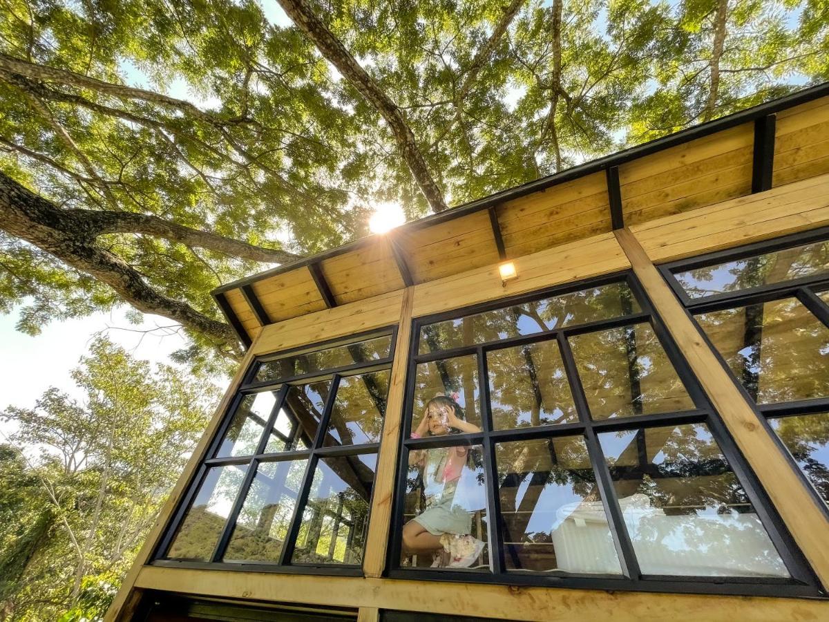 Villa Casa En El Arbol Utica Esterno foto