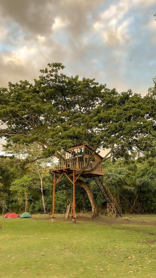 Villa Casa En El Arbol Utica Esterno foto